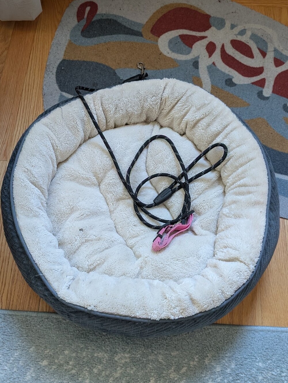 Puppy Starter Kit: Round Pet Bed in Cream and Gray, Pink Collar, Black Leash